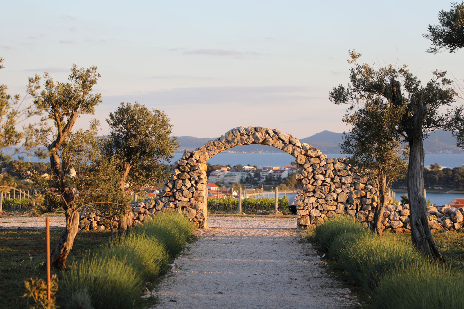 Die Königlichen Weinberge Kroatien