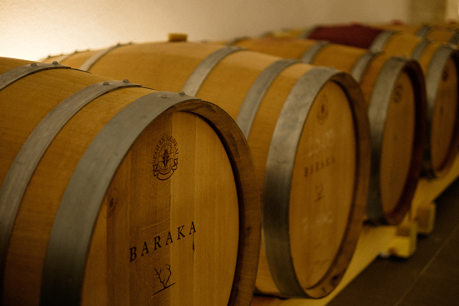 Winemaking in Dalmatia Croatia