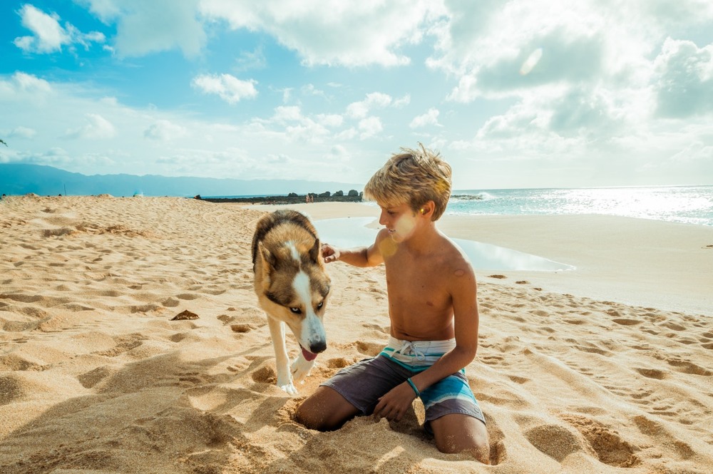 Dog beaches in Dalmatia