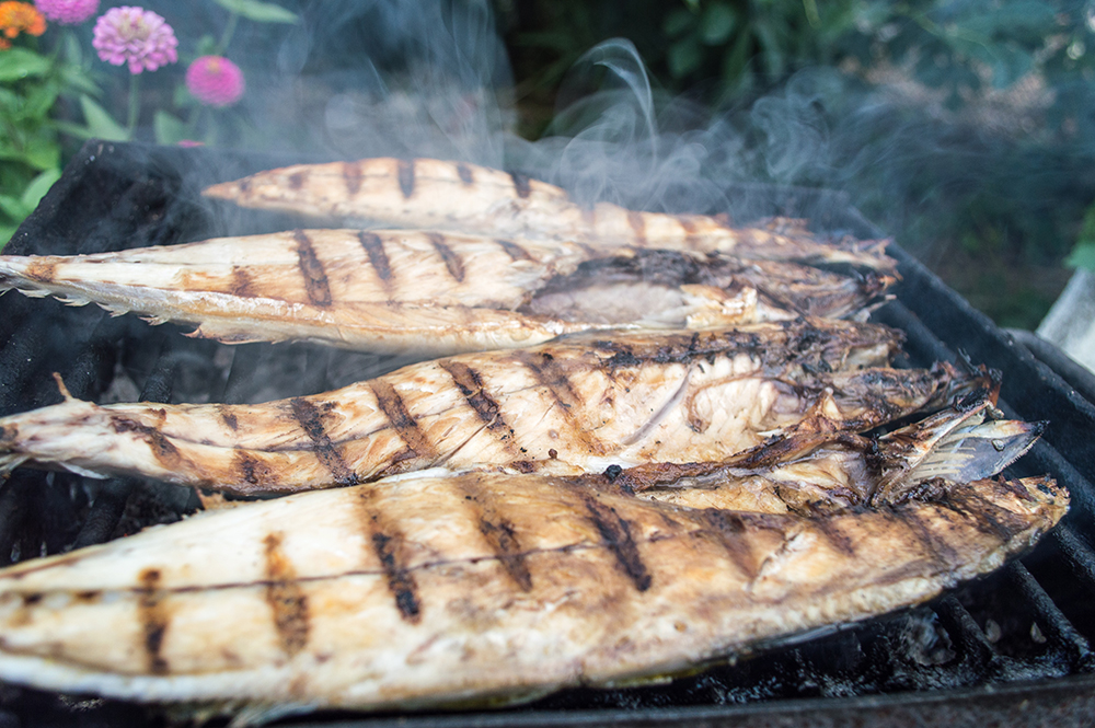 Fisch auf Gradele (gegrillter Fisch)