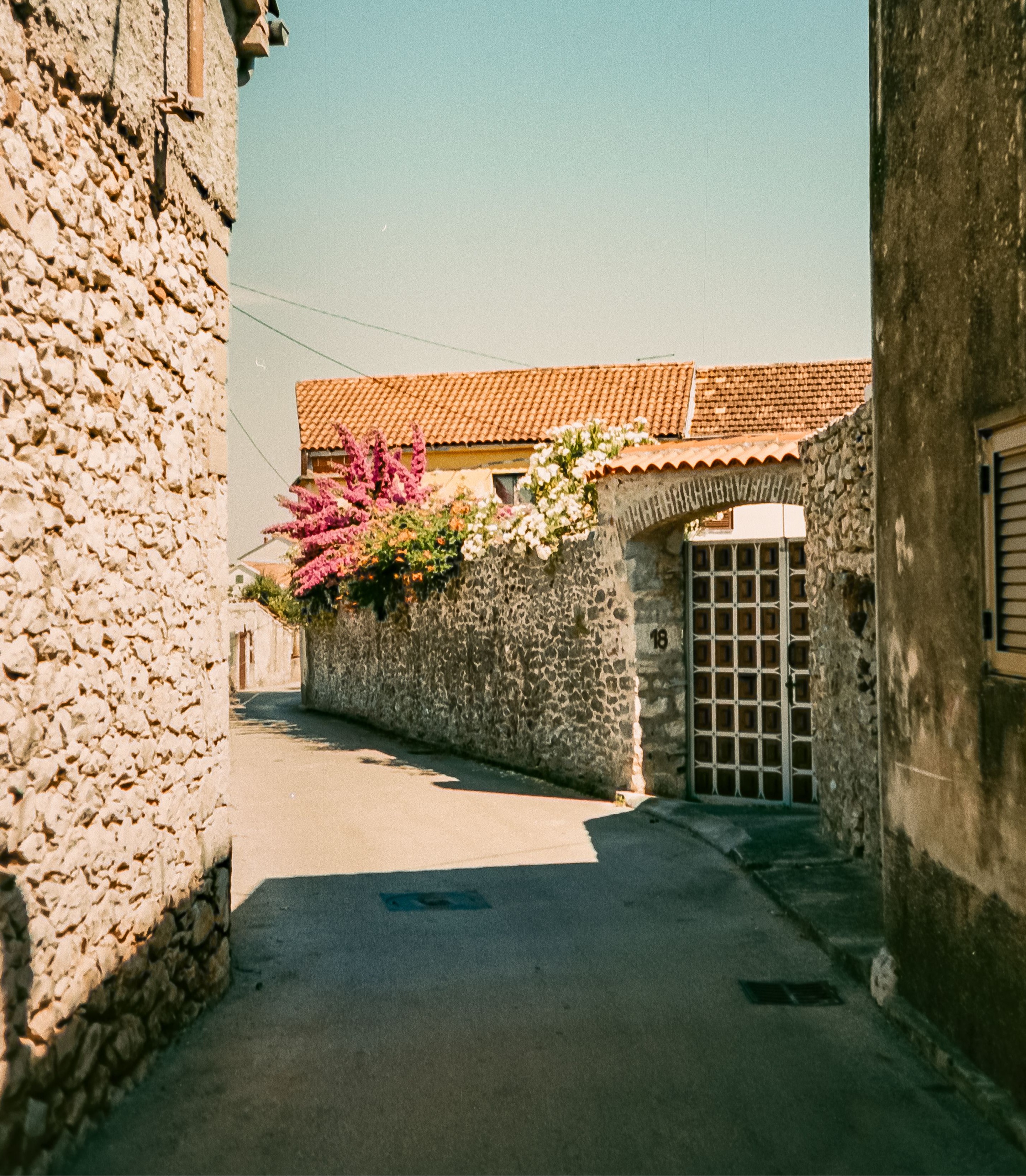 Narrow stone street in a traditional Croatian village, lined with rustic houses, red-tiled roofs and colorful Mediterranean flowers.