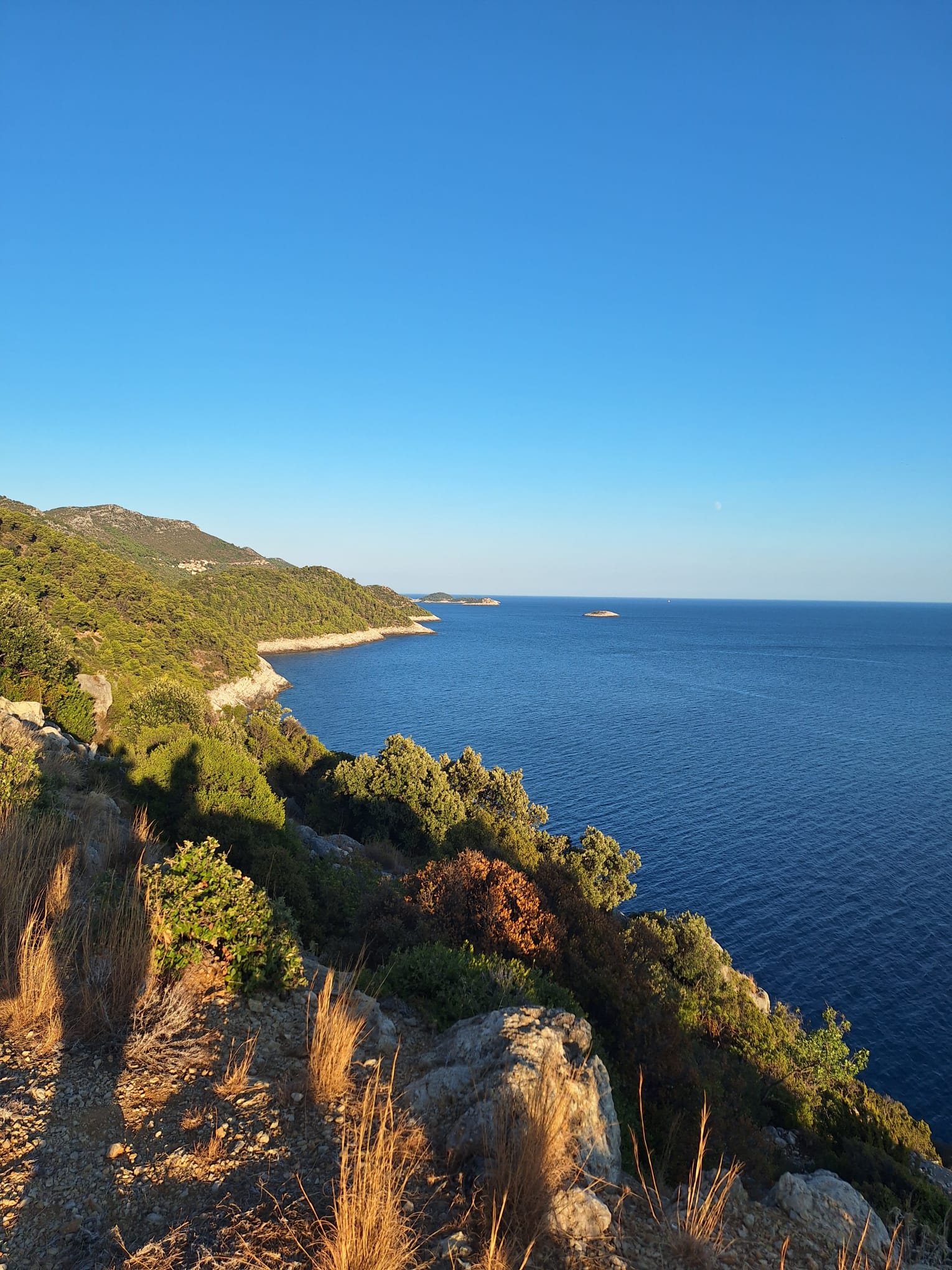 View of the crystal-clear blue Adriatic Sea and the rugged, lush green coastline of Mljet Island under a clear blue sky.