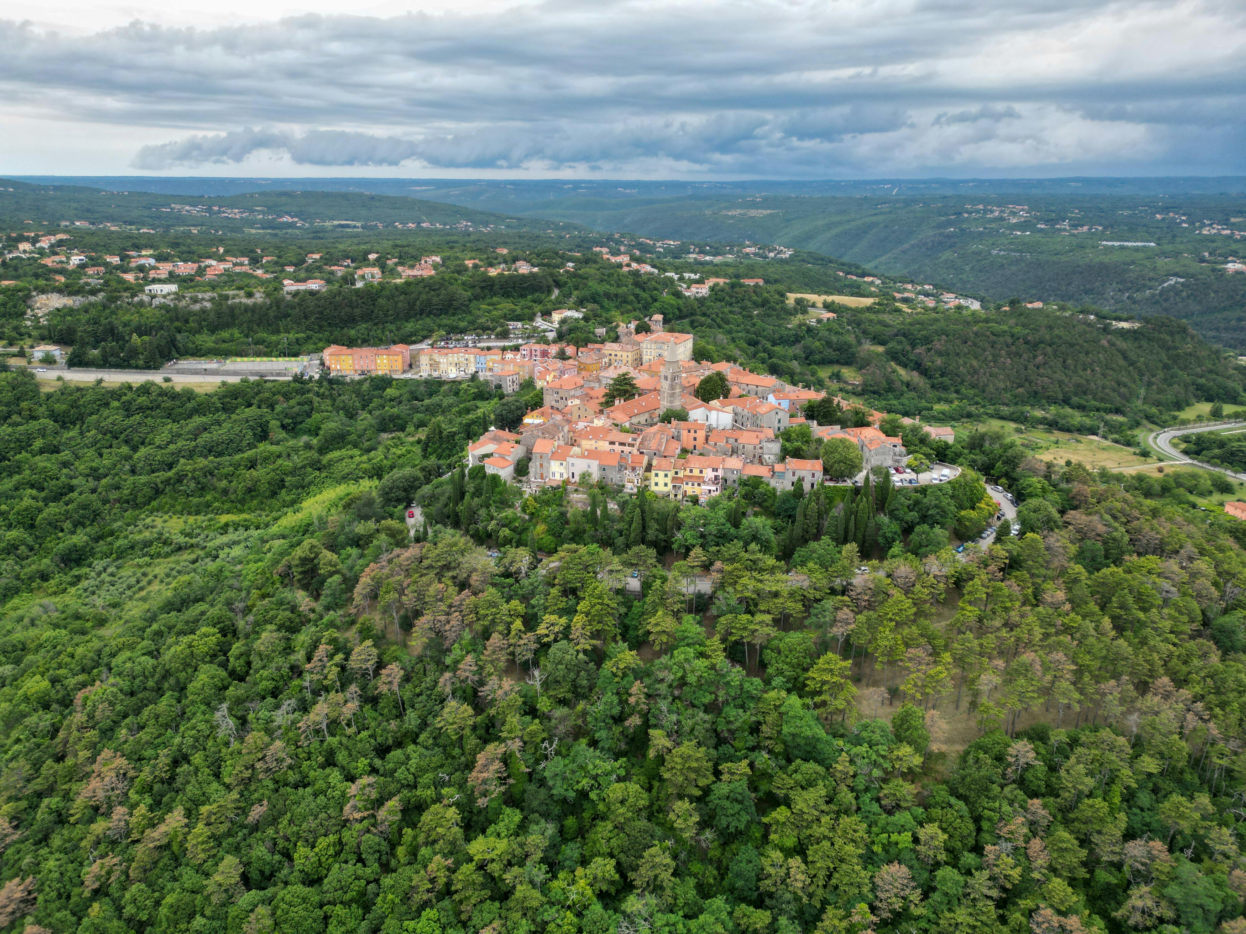 Veduta aerea di Motovun, un borgo storico arroccato su una collina in Istria circondato da rigogliose foreste verdi e campagne ondulate sotto un cielo nuvoloso.