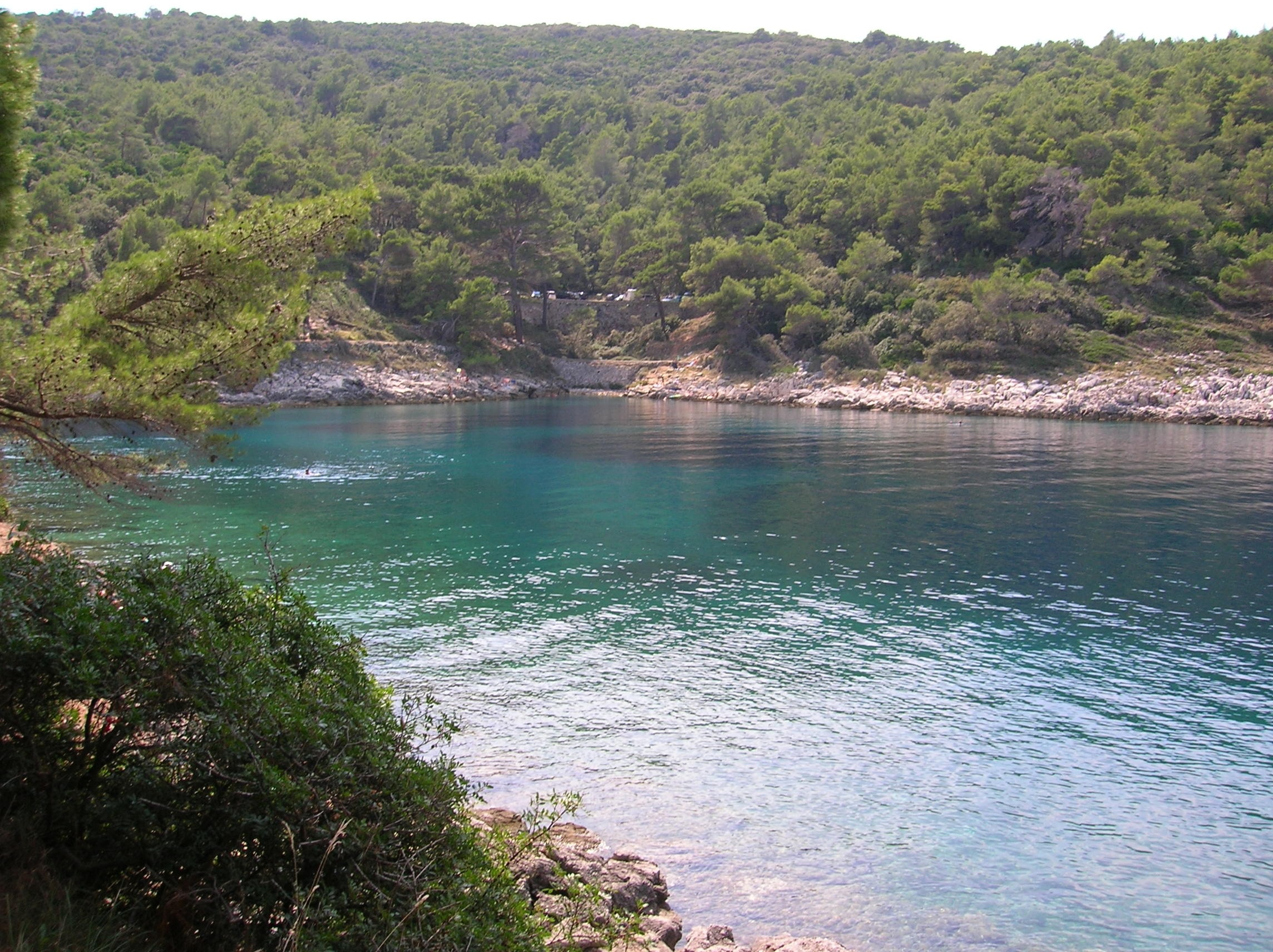 Zatoka Vale Škura w Mali Lošinj, otoczona lasem sosnowym i krystalicznie czystym turkusowym Adriatykiem.