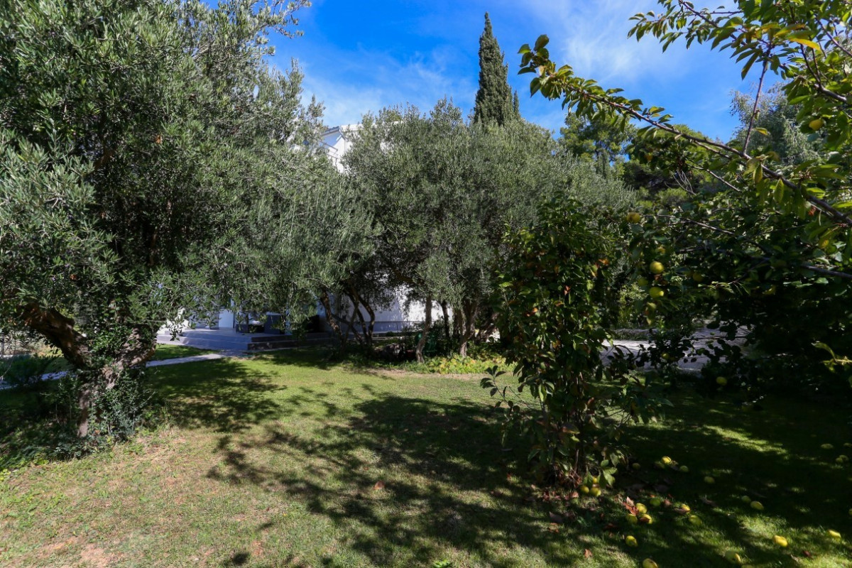 Villa Exotica