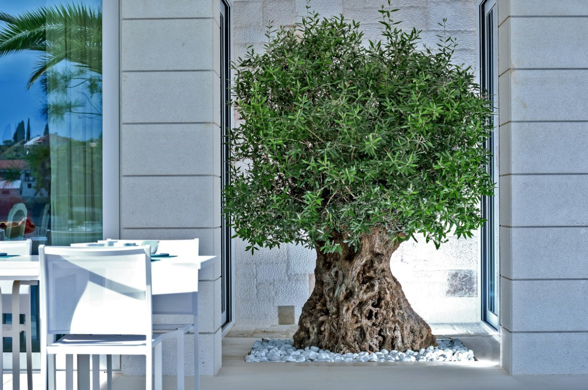 Villa Mila