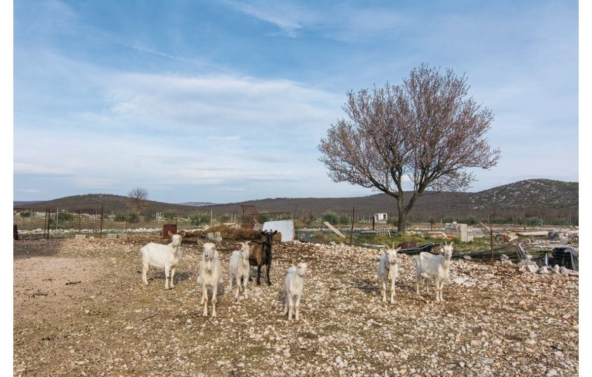 Villa Anita