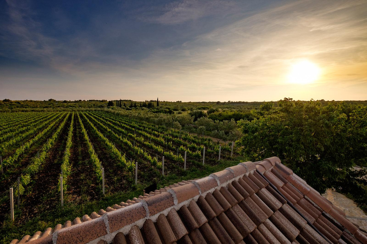 Baraka Winery Croatia: a new experience every year
