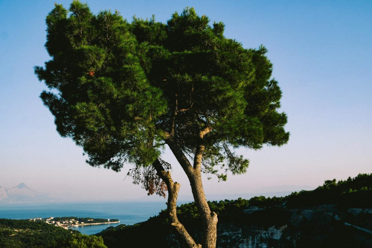 Villa Bifora