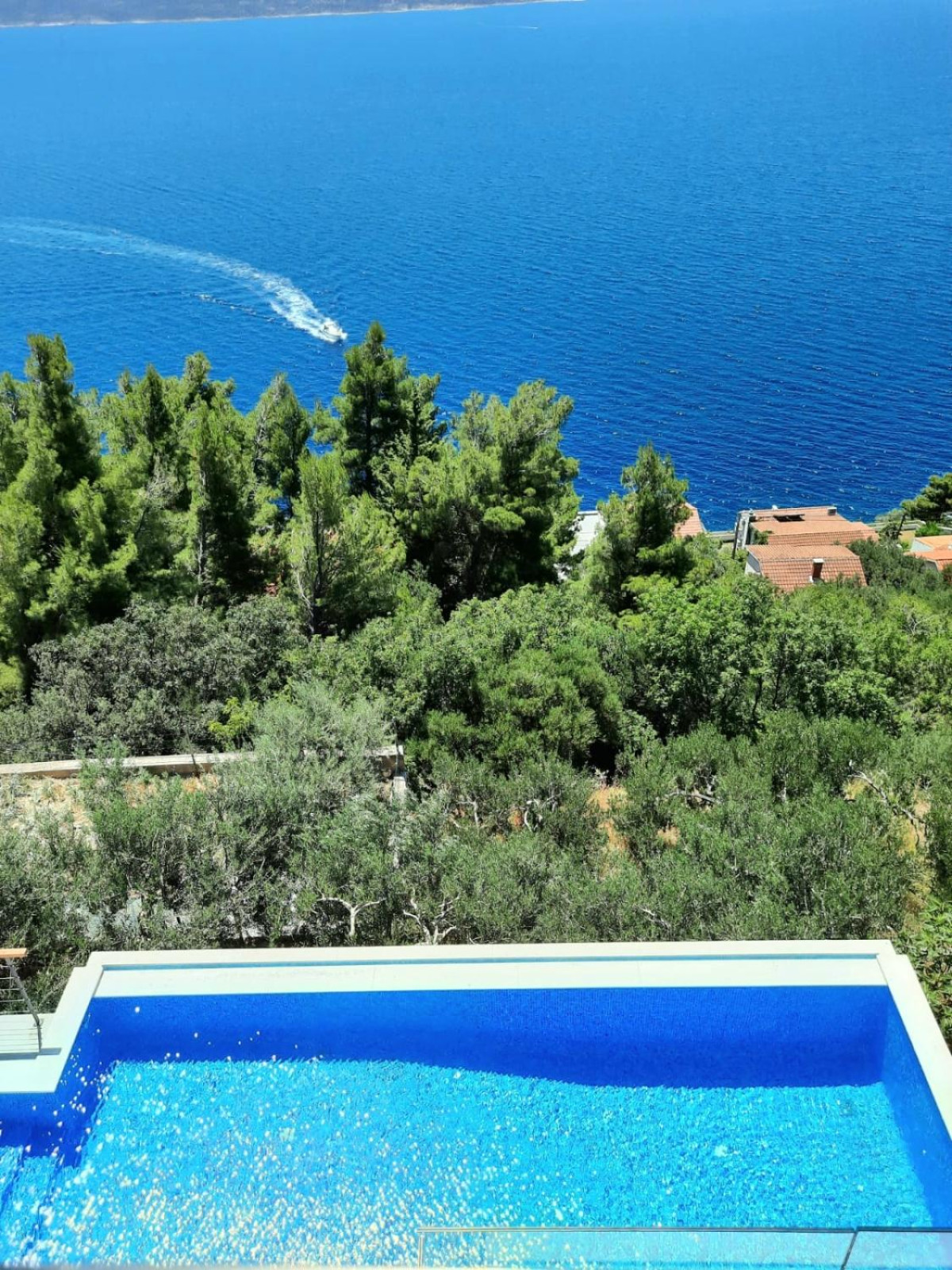 Villa Blue Dream