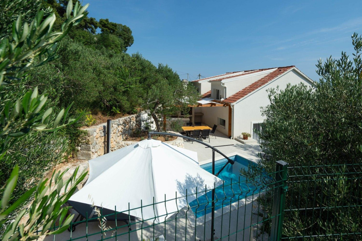 Villa Olive Tree