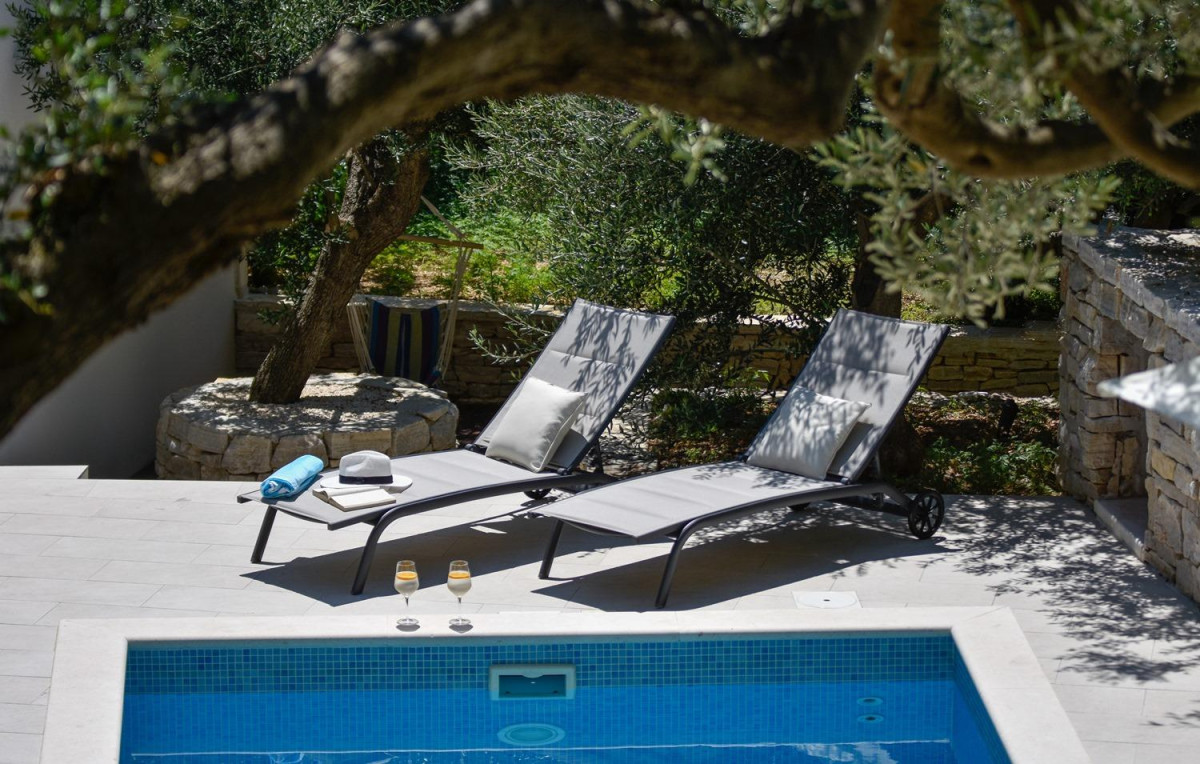 Villa Olive Tree
