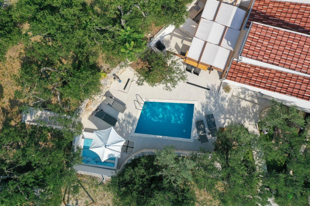 Villa Olive Tree