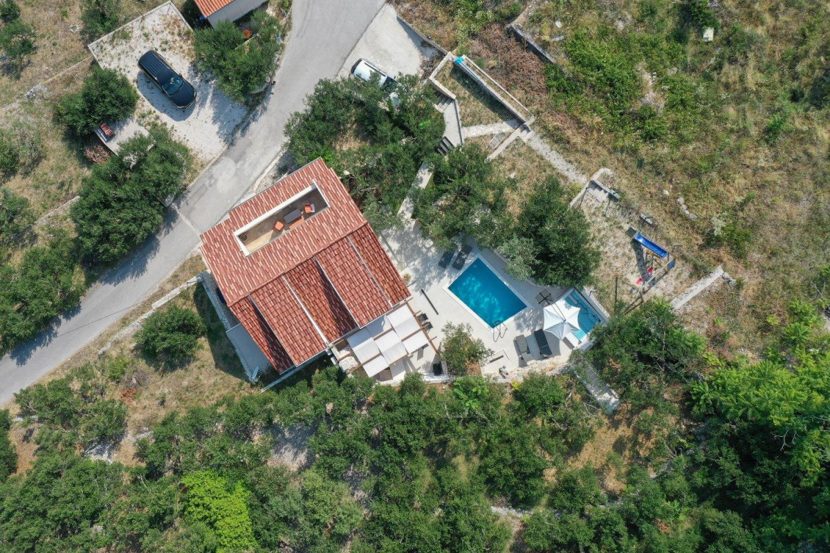 Villa Olive Tree