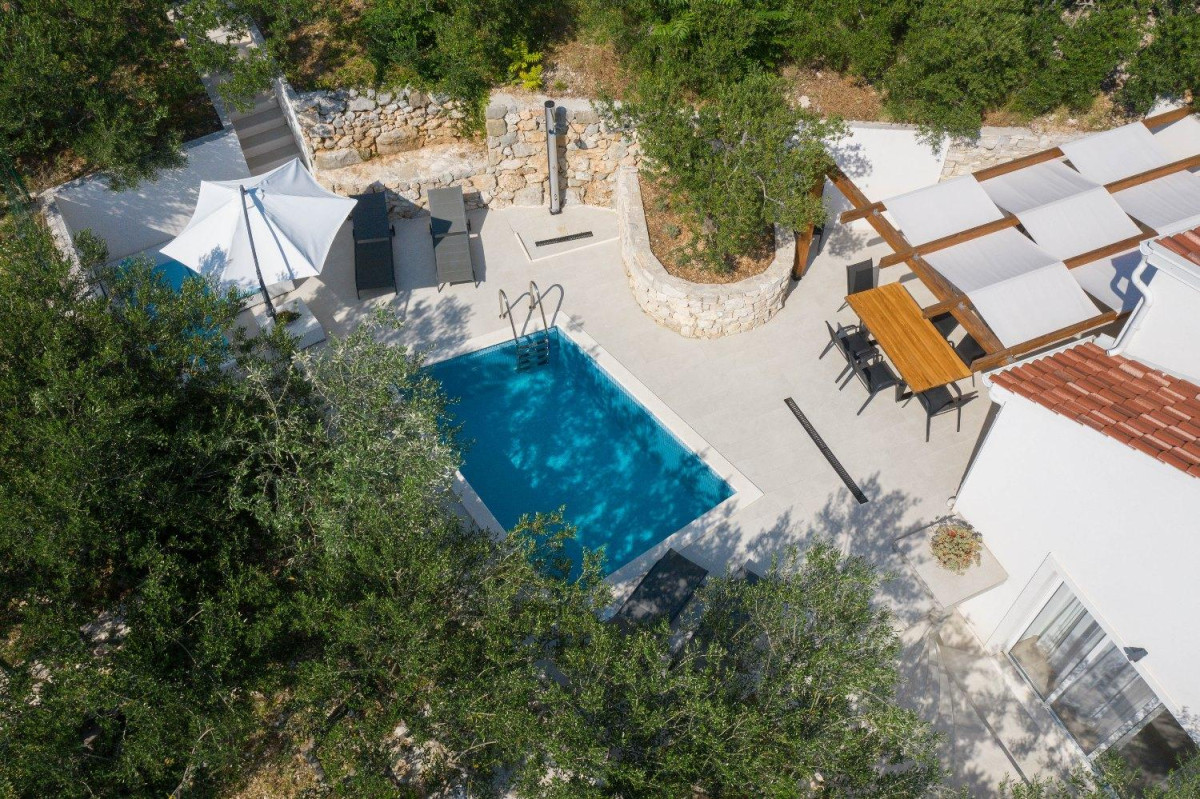 Villa Olive Tree