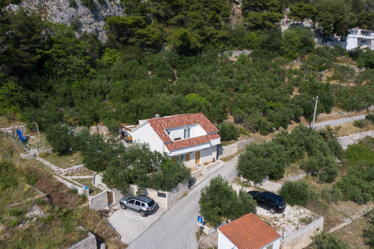 Villa Olive Tree