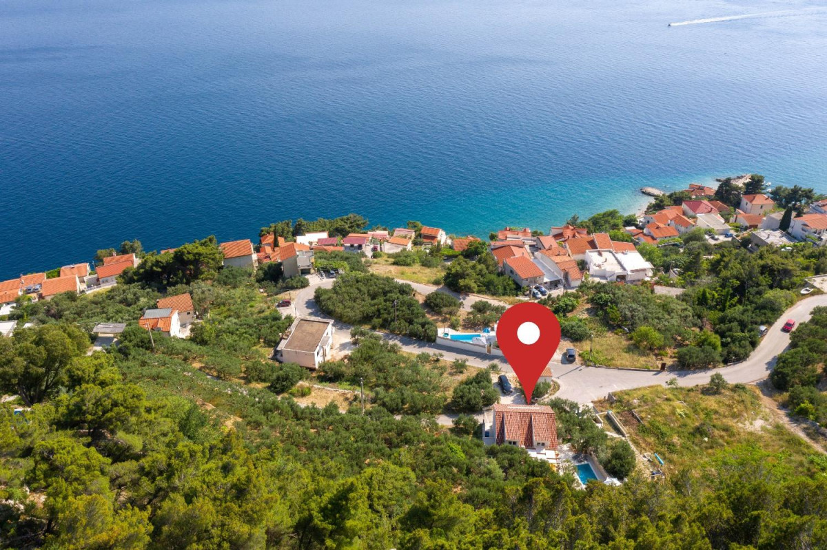 Villa Olive Tree