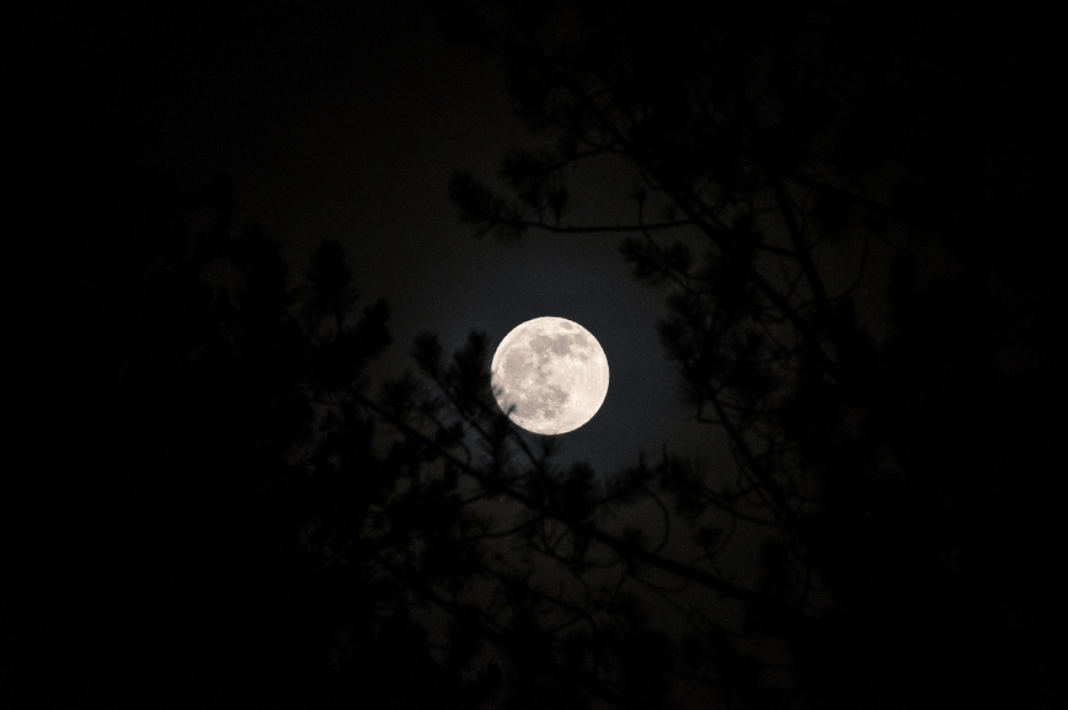 La Notte della Luna Piena a Zadar