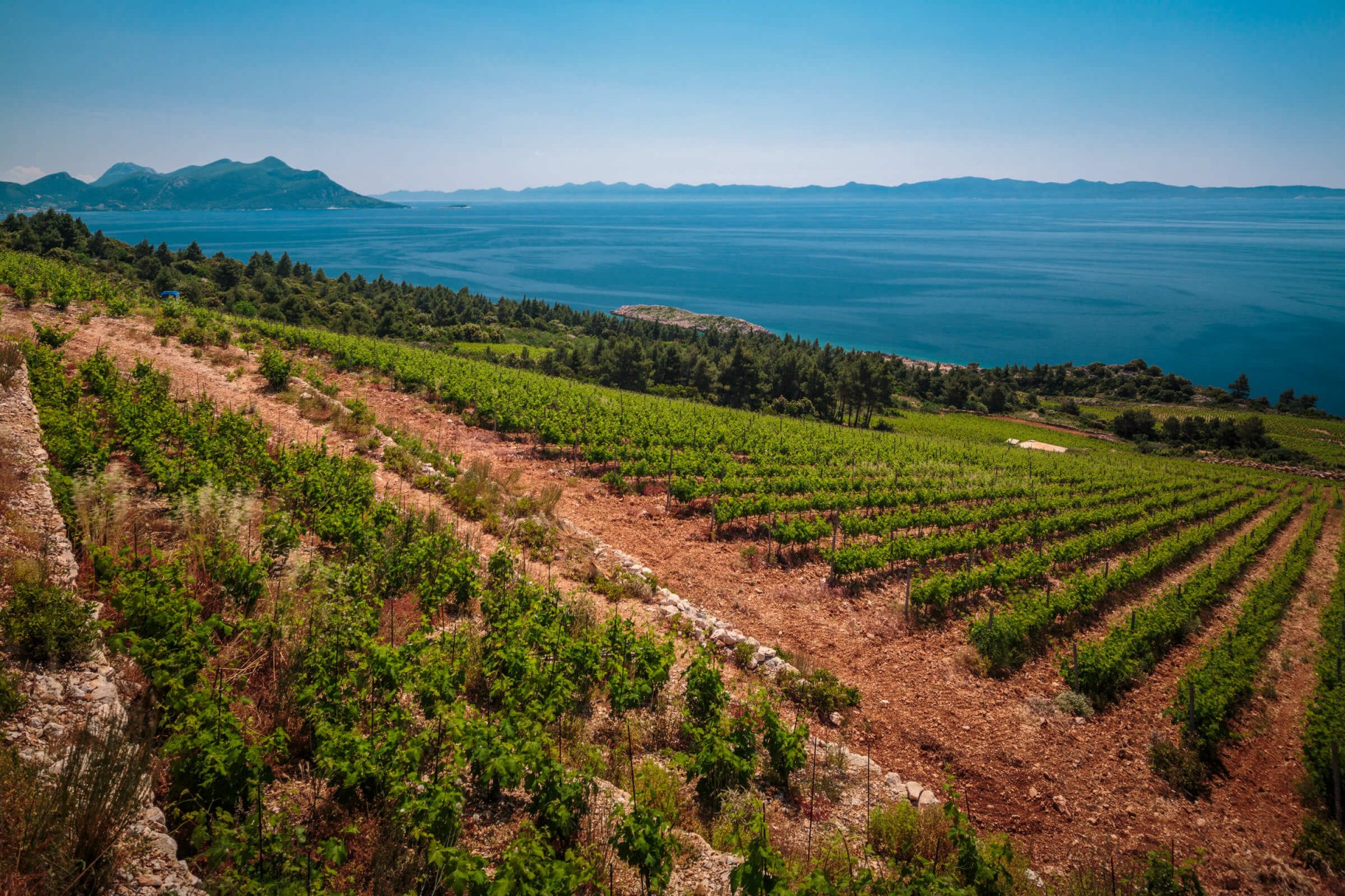 3 Beautiful Wine Roads in Croatia