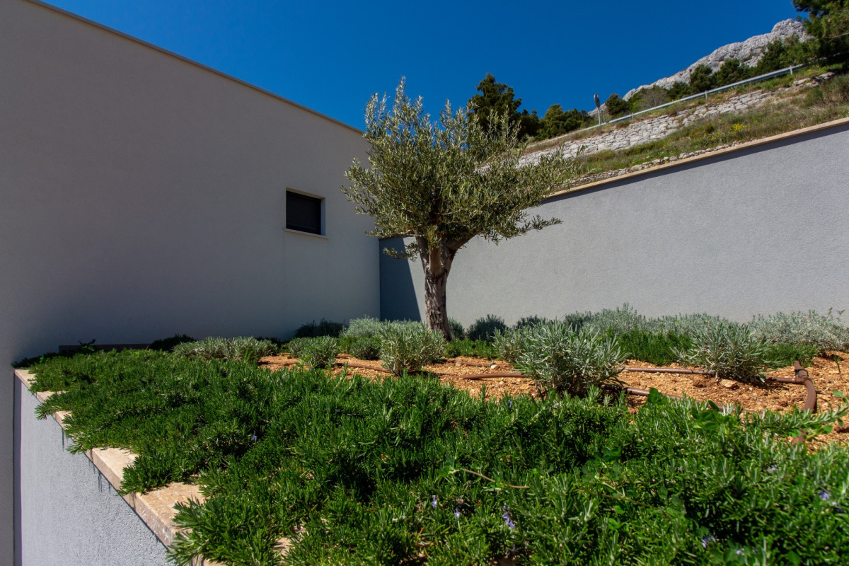 Villa Fama