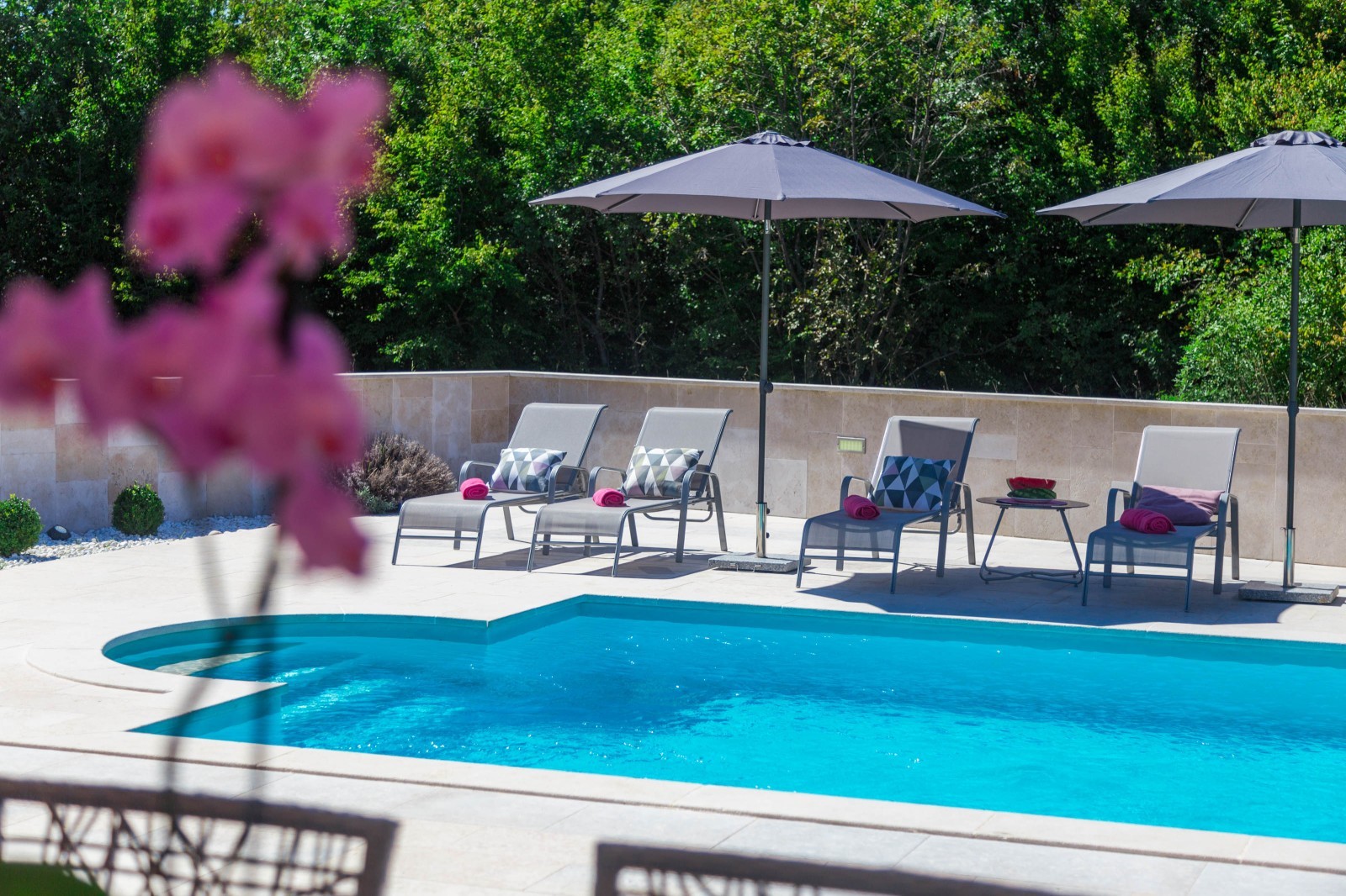 Villa Liv in Istria
