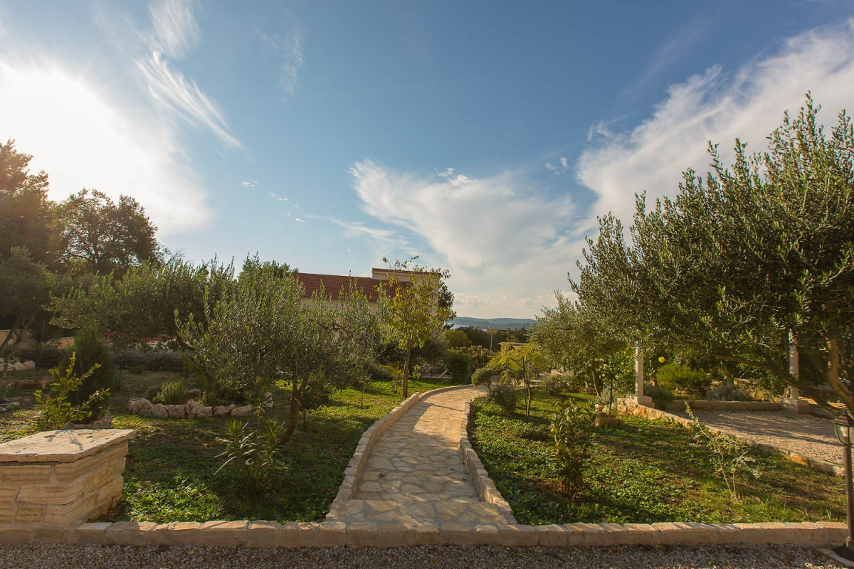 Villa Andro