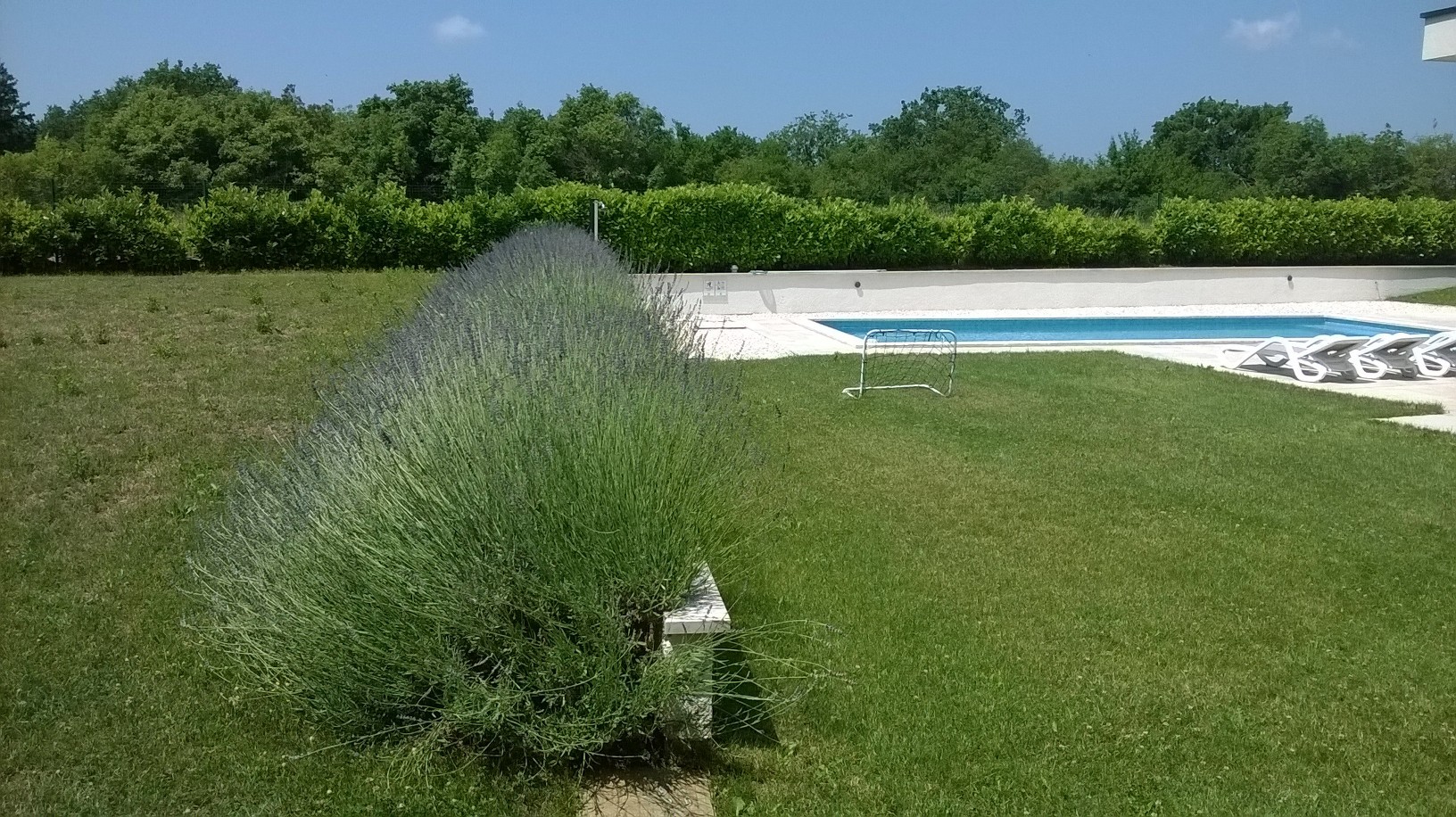 Villa Dora in Istria