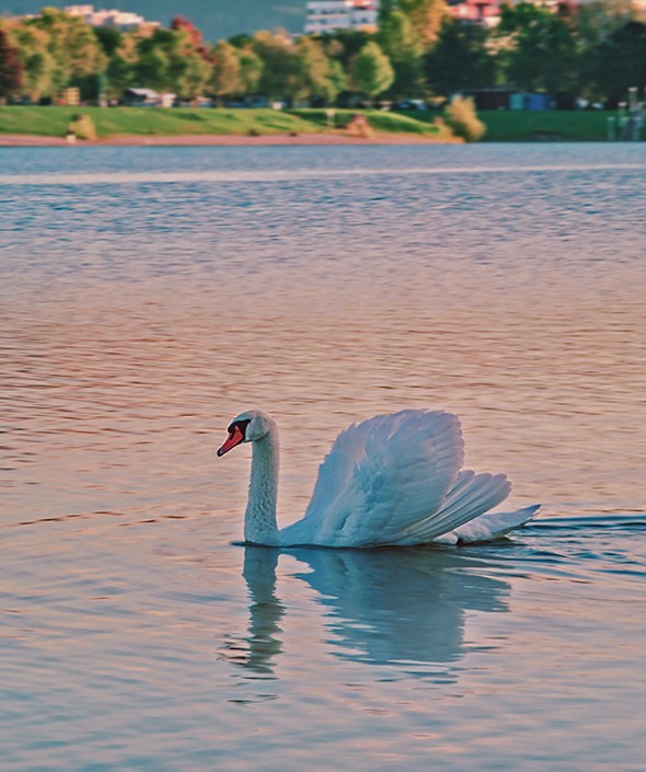 Ville in Slavonia