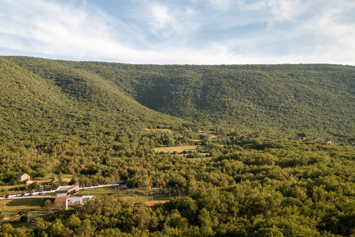 Villa Nella Foresta