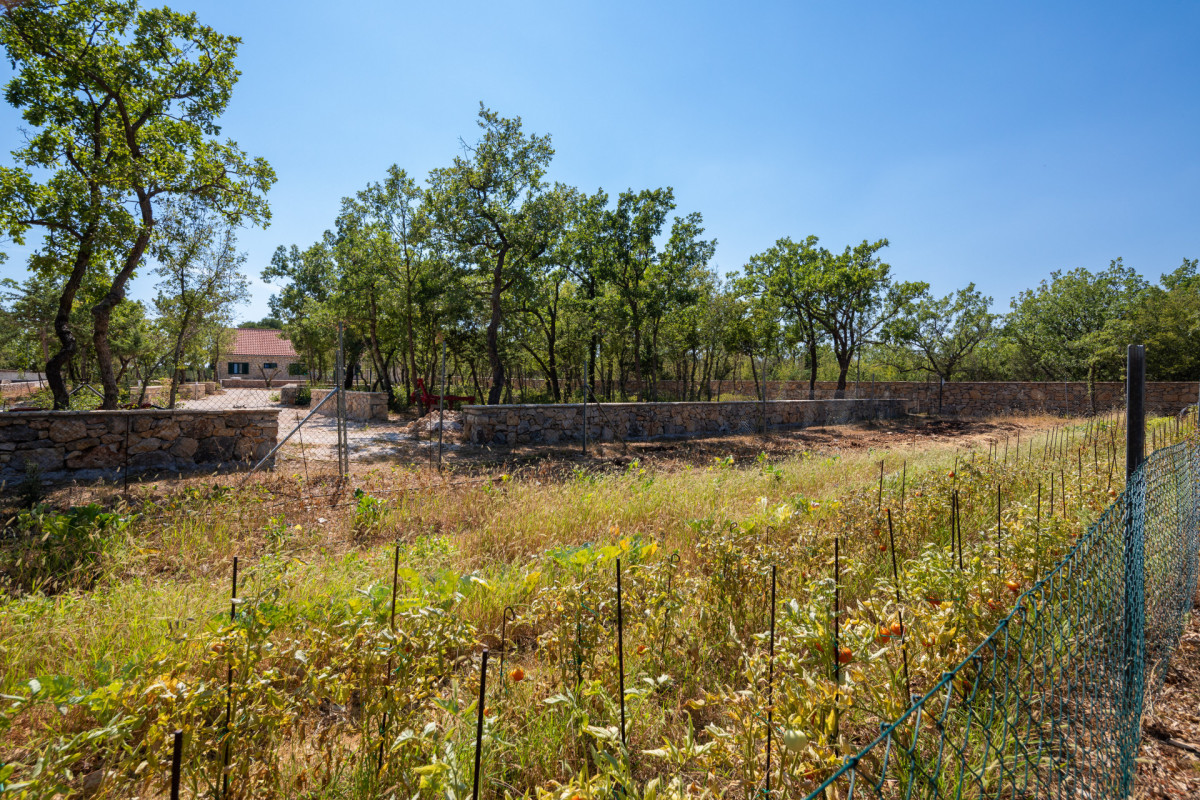 Villa Tosic Estate