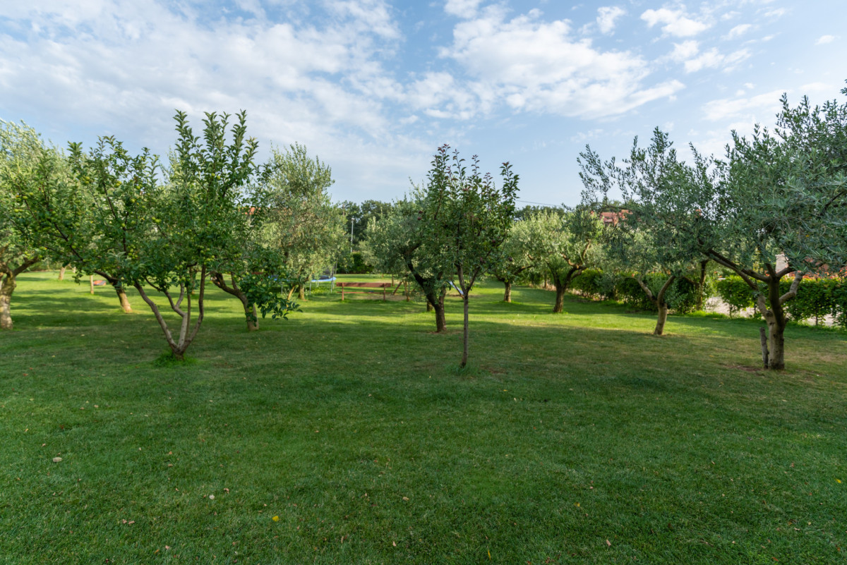 Villa LV