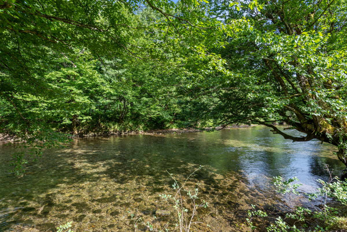 Villa River Pearl