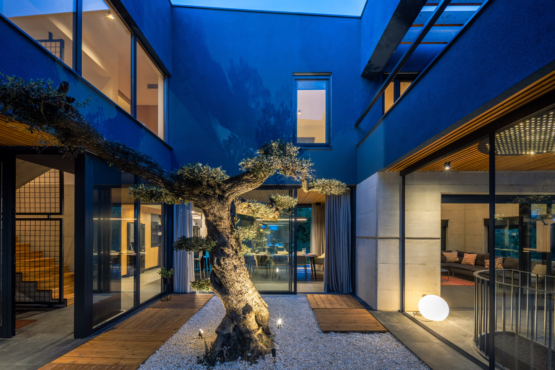 Villa Ballena in Istria