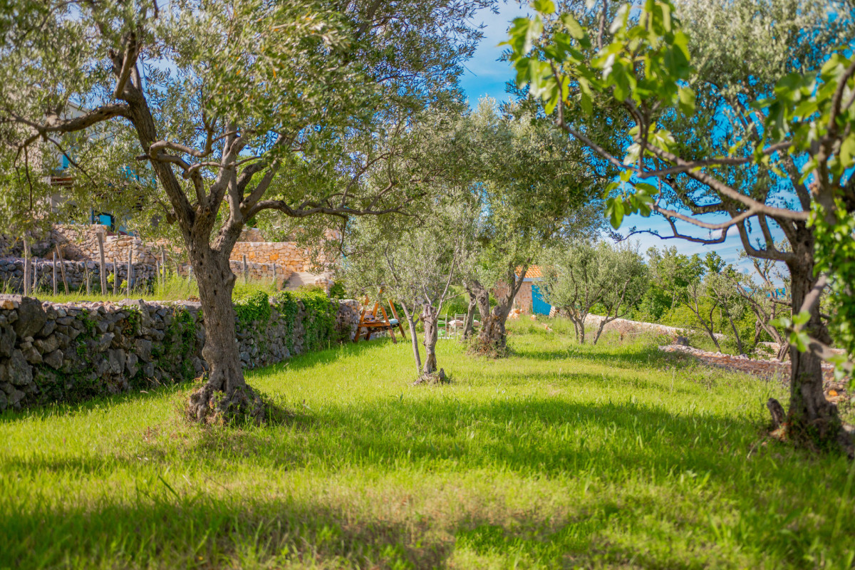 Villa Castello Sužan