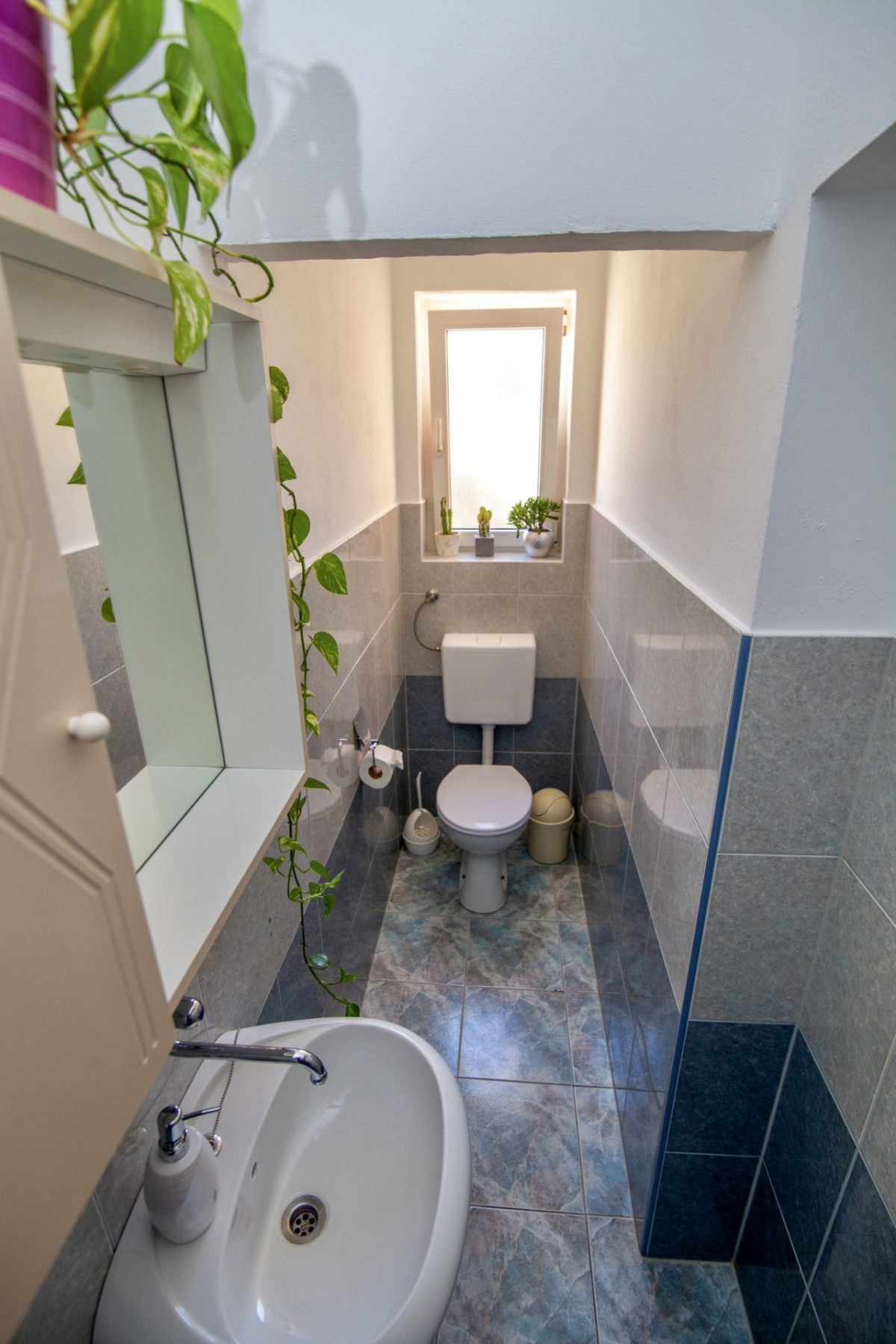 Villa Anita Istria