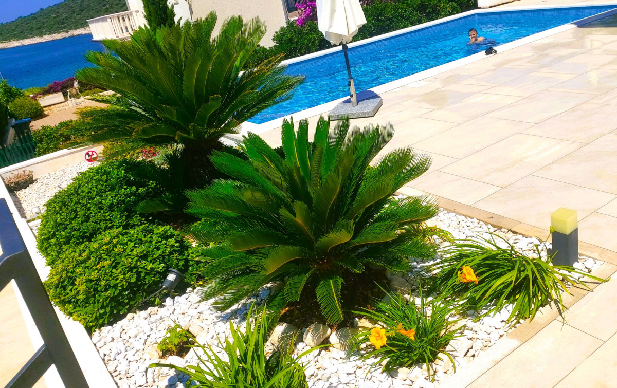 Villa Dolce Vita