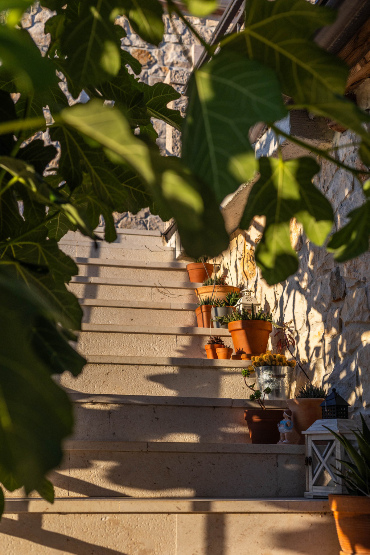 Villa Dvori Jokic