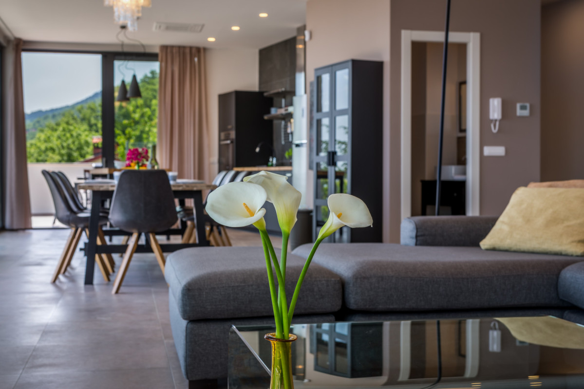 Villa The View Opatija