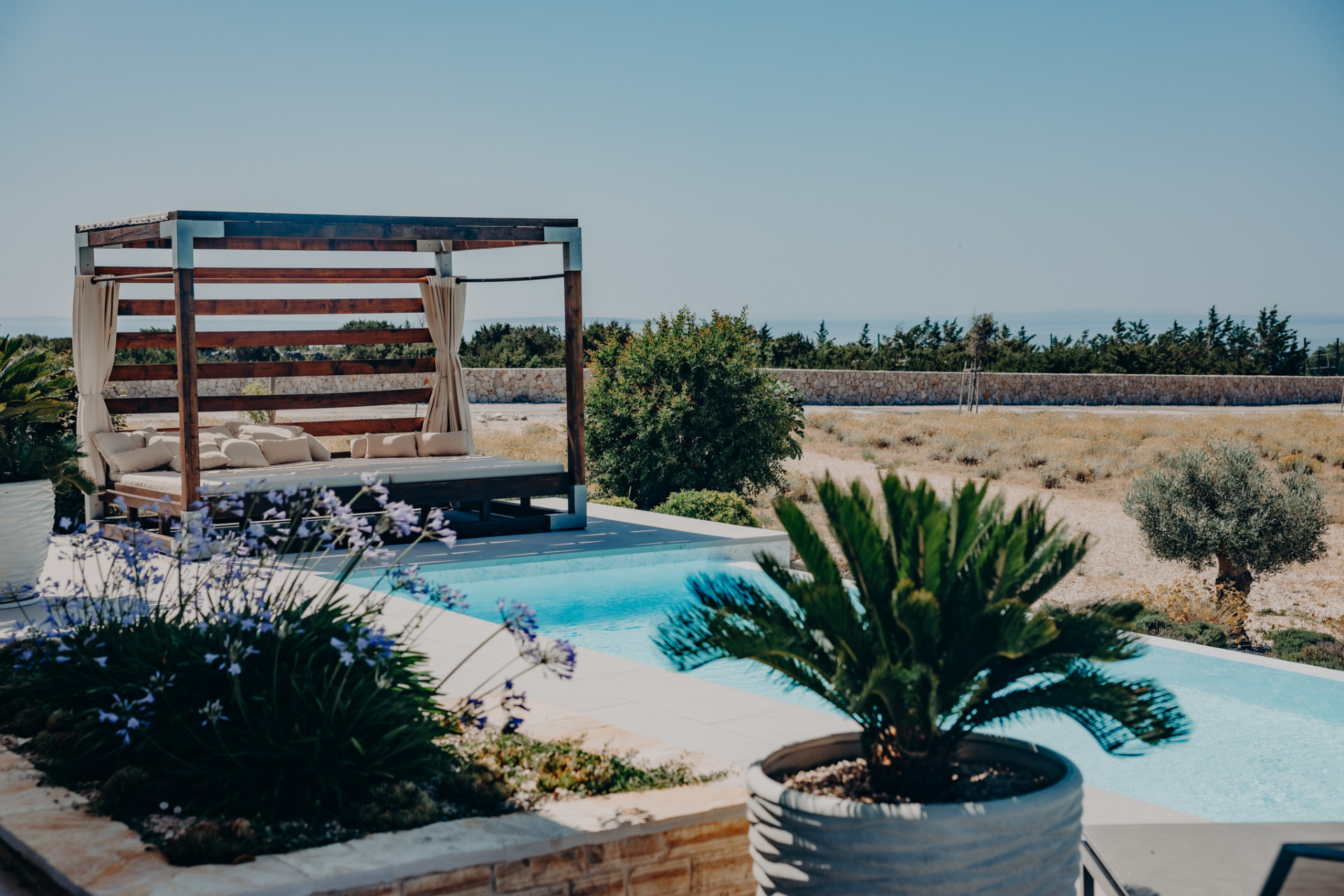 Villa Plant 2