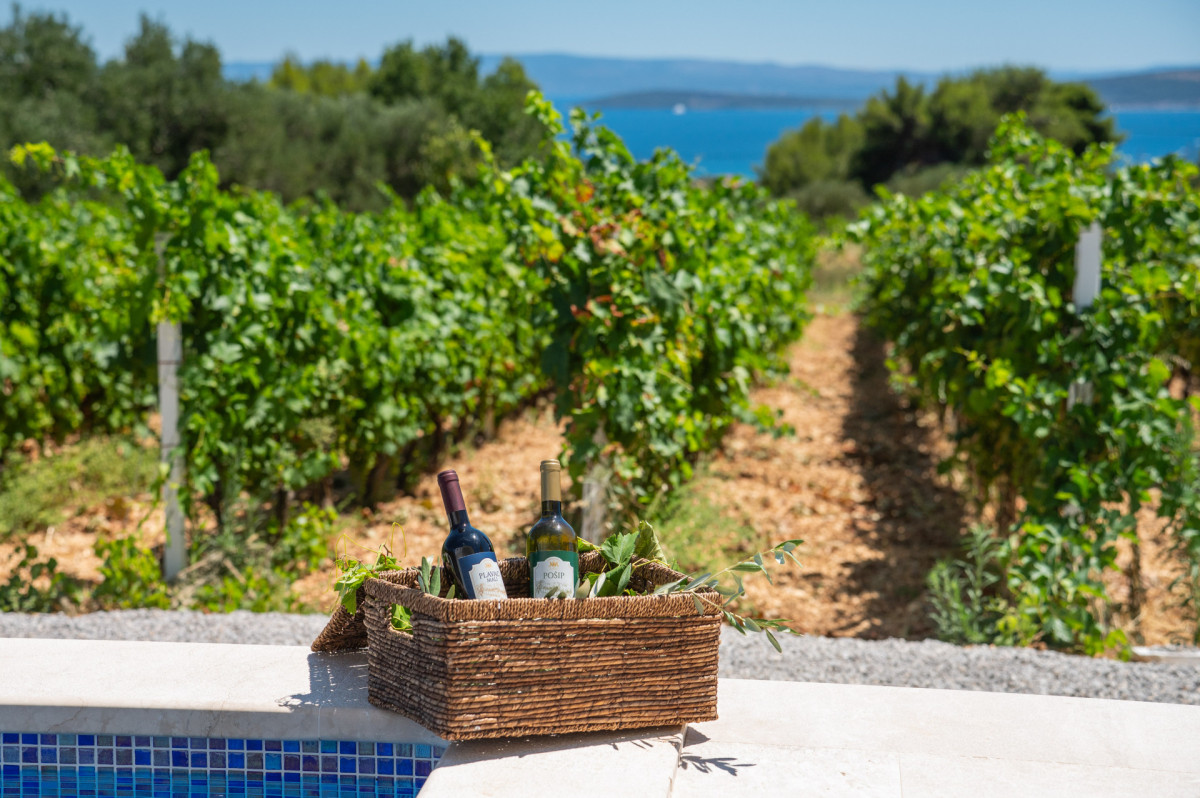 Villa Vista Vinea