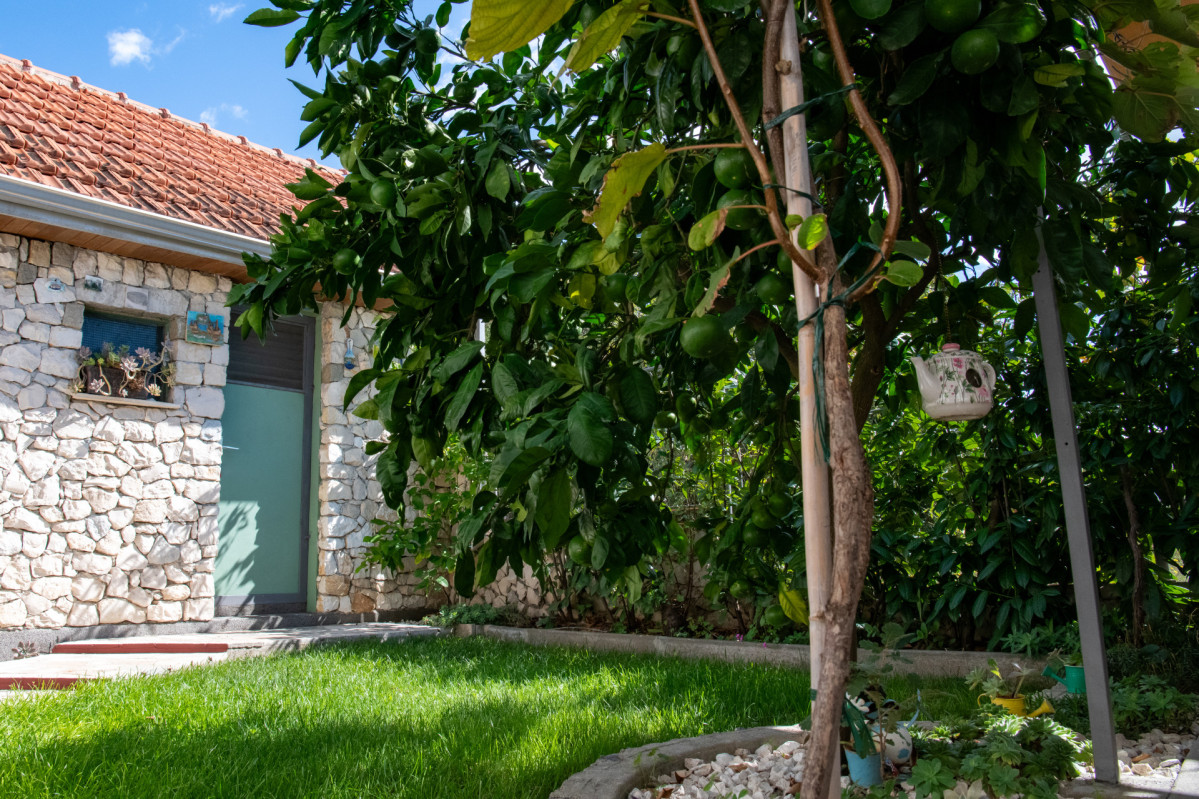 Villa Otavia