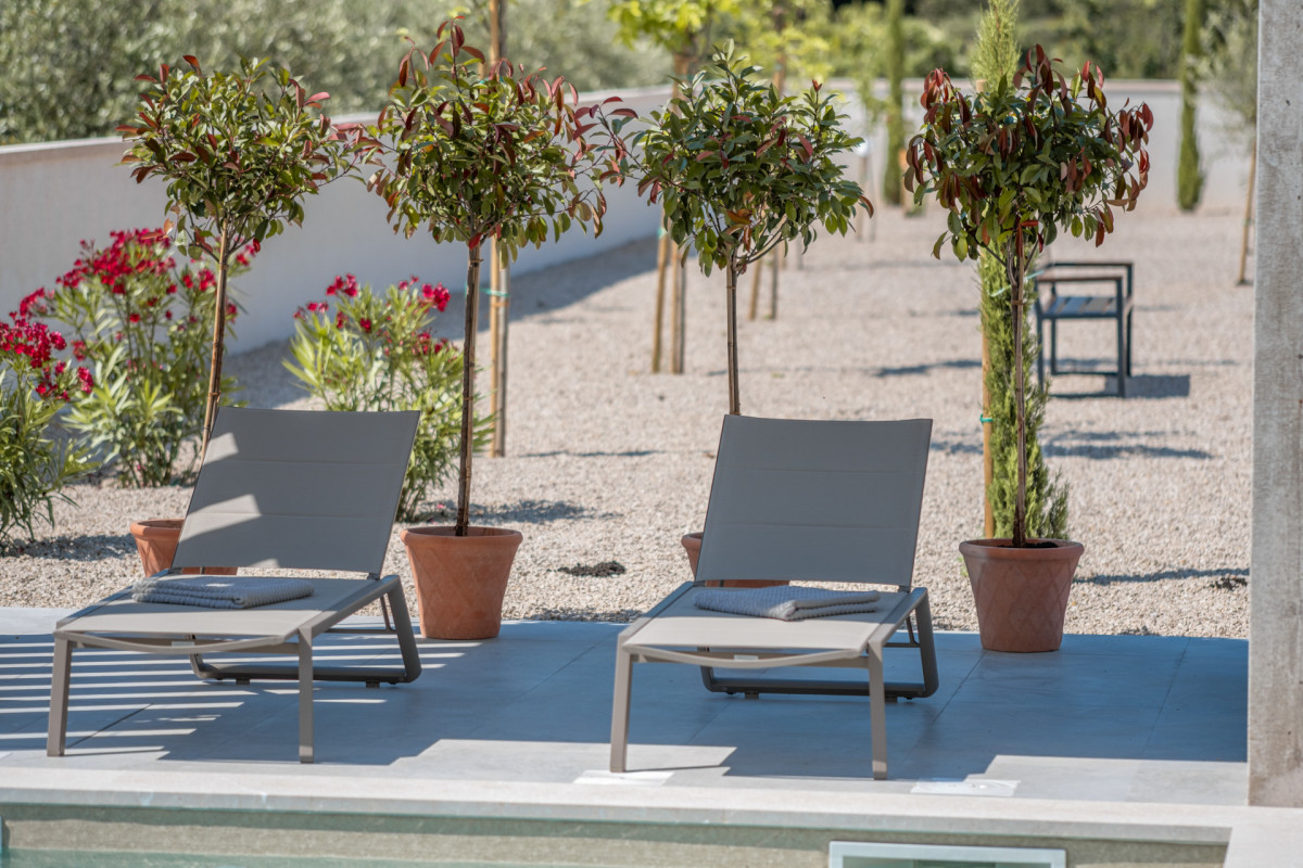 Contemporary Outdoor Lounge Area Featuring Gray Sunbeds and Scenic Landscaping