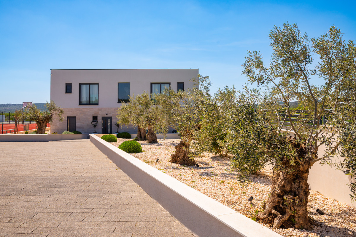 Villa Freedom