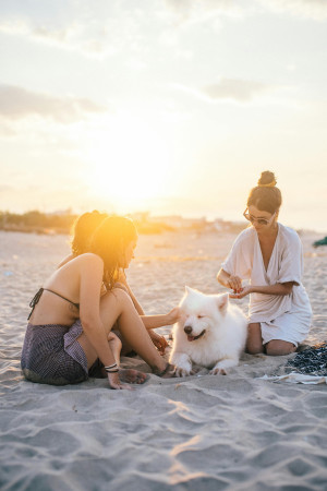 Pet friendly Villas