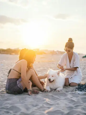 Pet friendly Villas