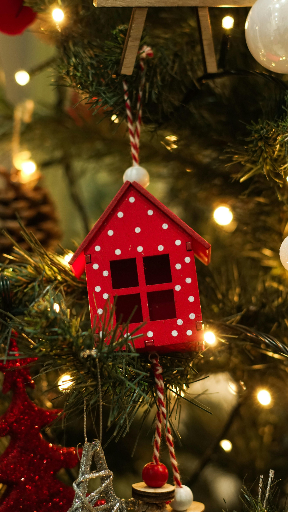 Kerstvilla's
