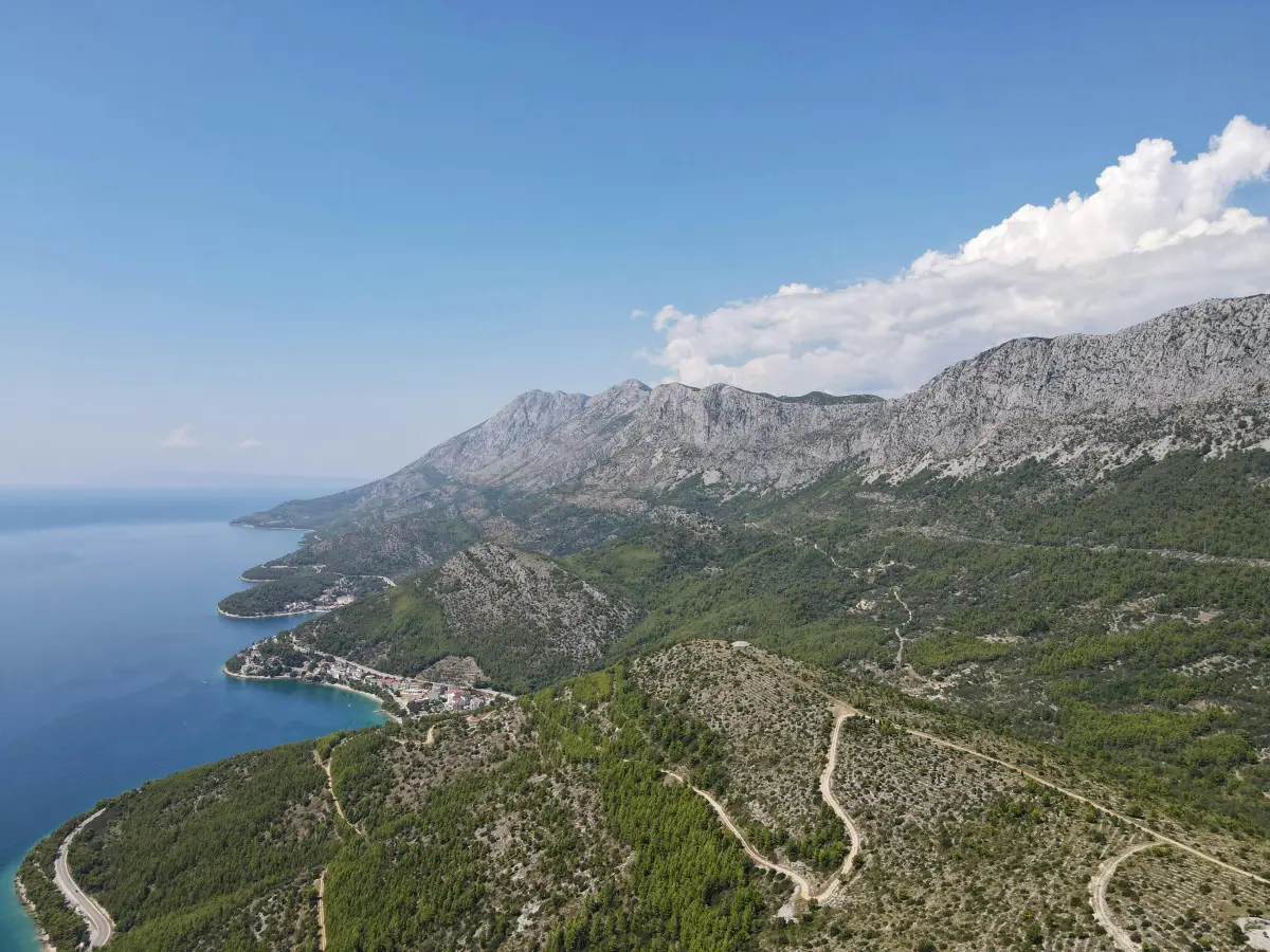 Vile u središnjoj Dalmaciji