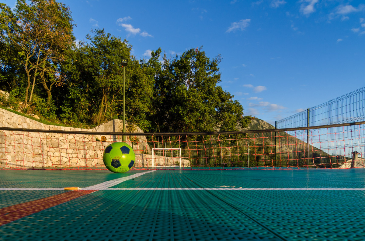 Villa Falcon Rook
