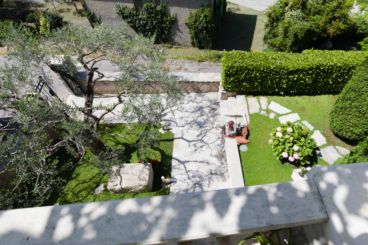 Villa Falcon Rook