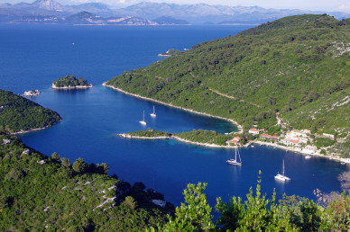 Mljet Island: A Guide to Croatia's Greenest National Park Escape